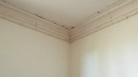 Jak zamaskować krzywy sufit