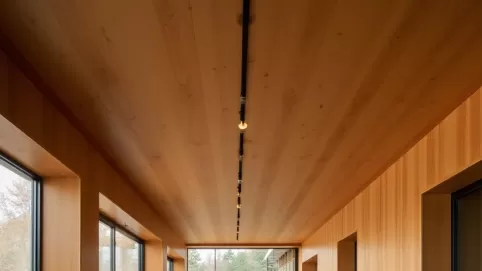 jakie lampy do drewnianego sufitu